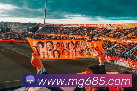 MG娱乐平台官网发展历程
